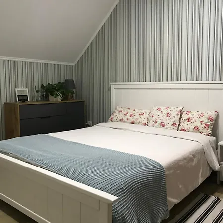 Homestay Khomenko Perechin