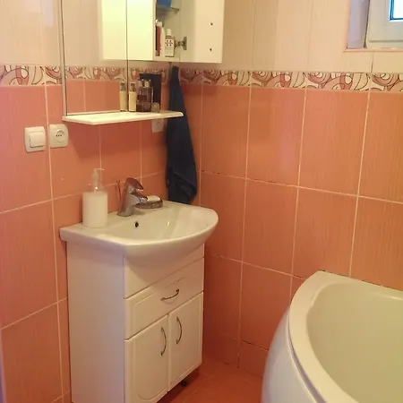 Khomenko Homestay Perechin