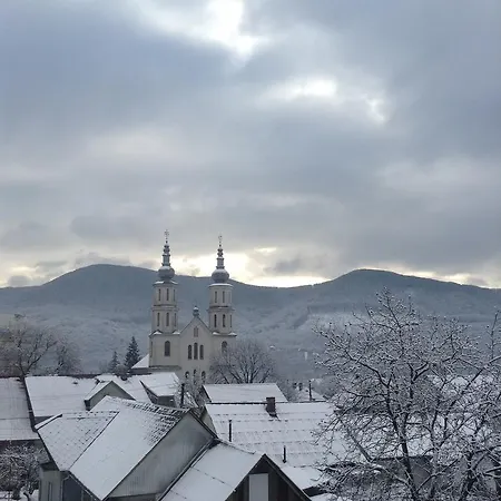 Khomenko *