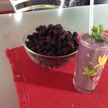 Khomenko Homestay Perechin