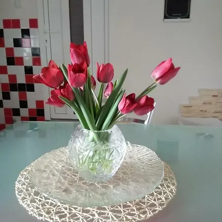 Khomenko *