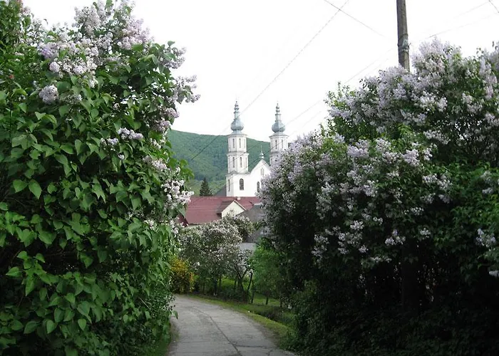 Khomenko *